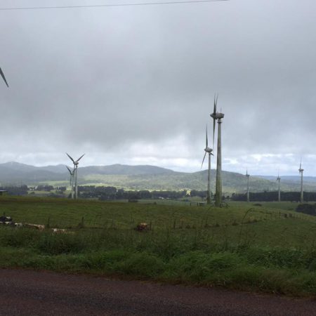 13920874_1173433289346168_8944580877731542241_n